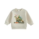 WERNZATT Kinder Mädchen Jungen Sweatshirts Baby Ostern Outfits Brief Ostereier Stickerei Crewneck Langarm Tops Pullover Frühling Kleidung (Multicolor6, 3-4 Years)