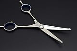 Professional Dogs/Pets Grooming Scissors 5.5" Grooming Dogs' Face/Eyes/Paws/Noses with Ball Tip Safe