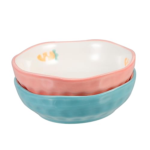 CIYODO 2Pcs Ceramic Seasoning Dipping Plates for Sauces Condiments and Appetizers and Ceramic Design for Home Use and Entertaining