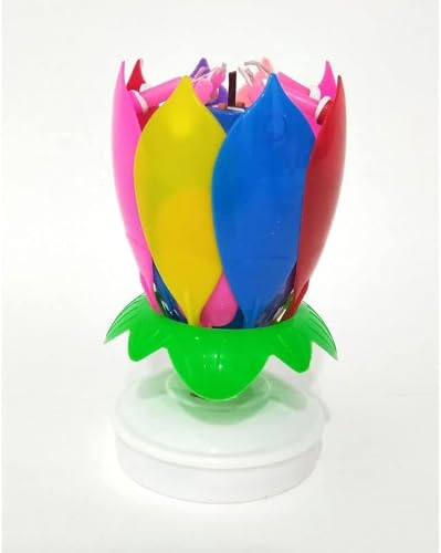 SoolKool }WbNt[o[Xf[Lh }`J[~[WJP[L JtɐMȂقǂ̃o[Xf[ nbs[o[Xf[ Ԃ炩d낤ap[eB[p (J[)