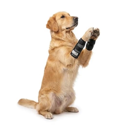 Nature Pet Gelenkbandage für Hunde
