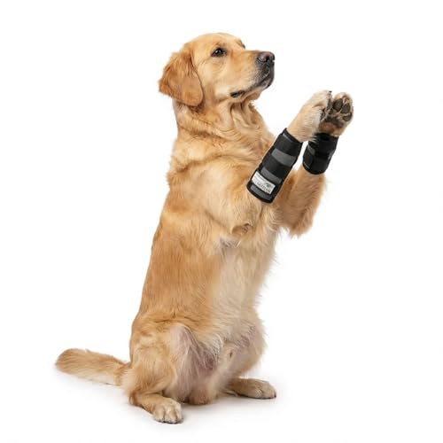 Nature Pet Sport Hand Gelenk Bandage für Hunde - geeignet für Rettungs- und Diensthunde oder Agility, Flyball und Hunde Frisbee (S)