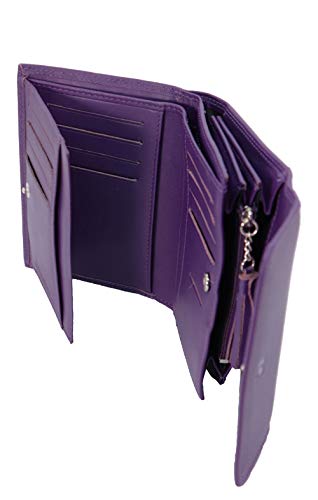 Fancil Monedero, Morado (Morado) - AC1336B