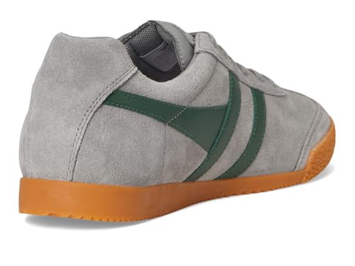 Image of Gola Harrier