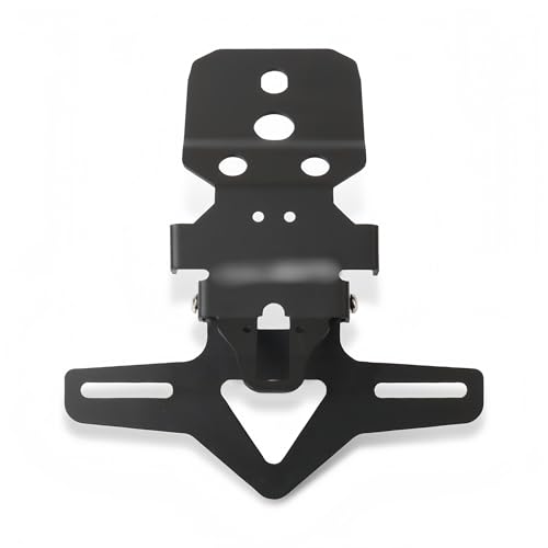 Support de plaque d'immatriculation moto 450SR 300SR 250SR queue courte