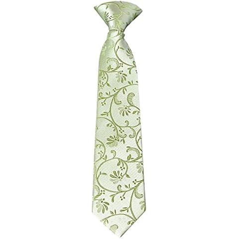 TIES R US Sage Green Floral Boys Tie Cover