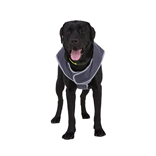 Barrageon Cani Giacca Maglione Inverno Animale