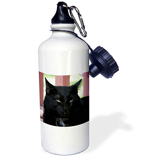 3dRose "Black Cat" Sports Water Bottle, 21 oz, White