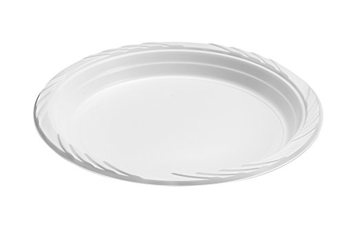 Blue Sky 100 Count Disposable Plastic Plates, 7