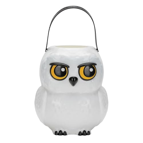 Disguise Harry Potter Hedwig - Cubo oficial de Halloween de Wizarding World para niños y decoración, 7.8 x 6.6 x 6.9 pulgadas