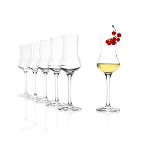 Stölzle Lausitz Grappa Glasses Set of 6, 90 ml, Crystal Glass, Dishwasher Safe, Modern, Shot Glasses with Handle
