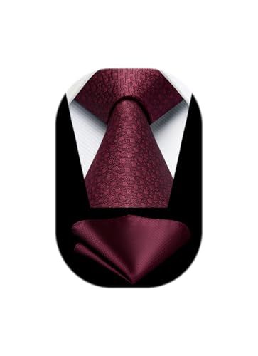HISDERN Corbatas Vino Rojo Hombre Modernas Corbata y Pañuelo de Boda Conjunto Corbatas de Business