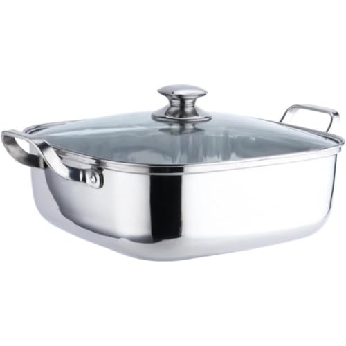 AOPIPI ステンレス製蒸し器 2層、3層蒸し器、ノンスティック、ガラス蓋付き、均一加熱、ガスおよび電磁調理器対応、多機能、多層、お手入れ簡単、鍋、スープ、家庭用、業務用に適しています (単層)