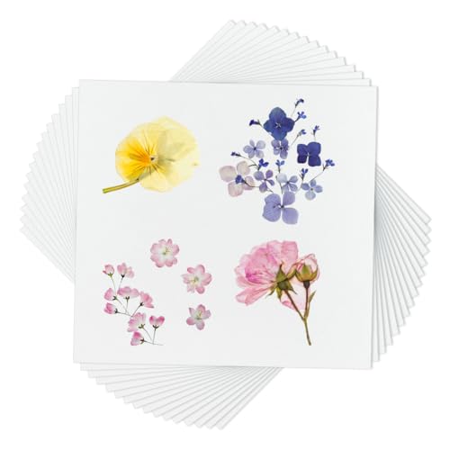 OLYCRAFT 50 Packung Löschpapier Für Blumenpressen 26x25cm Weiß Wiederverwendbar Für Herbariumpressen Zum Selbermachen von Blumenkonservierungs Und Kunstprojekten – 0.4mm Dick