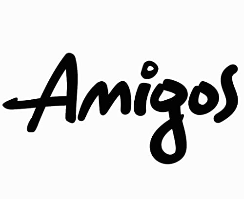 Amigos International Abroad Program for Young People