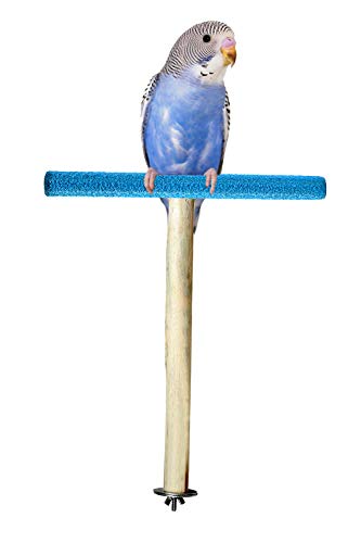 Western Era Sand Wood Perch, Toy, Cage Accessory for Birds (Medium Birds) (B087WYSRZ9) Amazon Price History, Amazon Price Tracker
