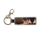 shar pei mini gris ▼Es un gran regalo para niños, esposos, esposas, parejas, aniversarios, misiones, citas, Halloween, Acción de Gracias, San Valentín, Navidad, bodas, etc.