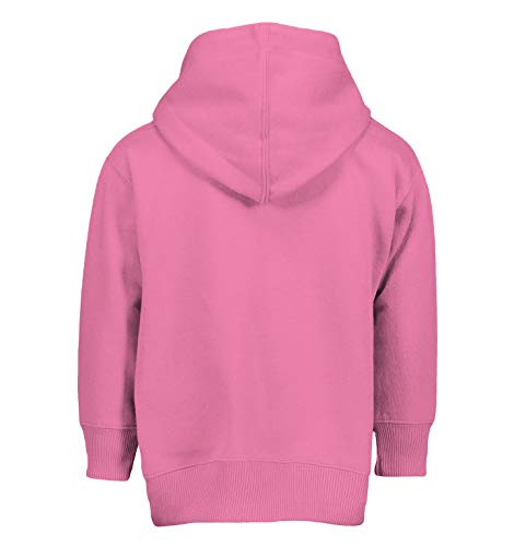 Haase Unlimited Wisconsin - State Proud Strong Pride Toddler/Youth Fleece Hoodie3