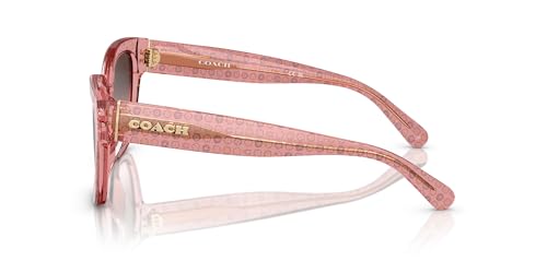 Lunettes de soleil Coach HC8379U l'excellence des finitions