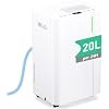 20L