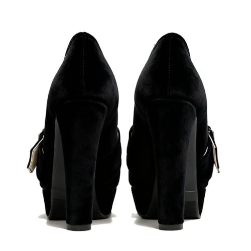 Image of SHODENSE Women Vintage Chunky Platform Loafers Pumps Tassel Round Closed Toe Slip On Suede Block High Heel Dress Loafer Shoes Buckle Strap Oxford Loafers Fringe Pump Dressy Chic Sexy Y2k 4-11 M US