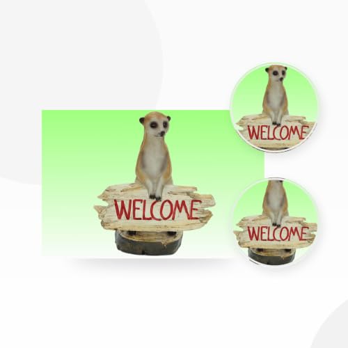 Figurine en polyrésine suricate Welcome Cornelißen décoration - 4
