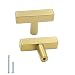 Gold Cabinet Knobs kitchen Hardware Drawer Pulls Single Hole - Goldenwarm LS1212GD Square Furniture Pull Brushed Brass T Bar Knobs Dresser Cupboard Door Handles Stainless Steel 20 Pack