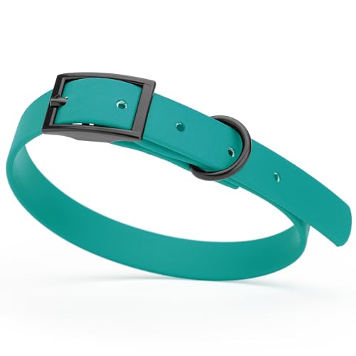 Image of Dogline Biothane Waterproof Dog Collar Strong Coated Nylon Webbing with Black Hardware Odor- Proof for Easy Care Easy to Clean High Performance Fits Small Medium or Large Dogs, Blue Aqua