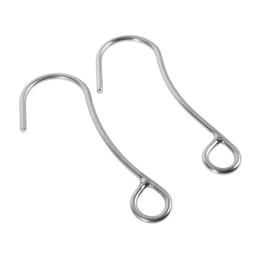Abaodam 2pcs Stainless Steel Diving Hooks Heavy Duty Reef Hooks for Drift Diving Equipment Secure Underwater Anchoring Versatile Scuba Gear for Enhanced Safety and Stability