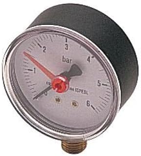 Autoclave con medidor radial 1/4 "escala 0-6 bar