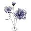 Purple-d