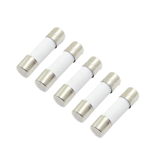 Fusibles en céramique 5x20mm 250V lot de 20 pièces calibre au choix pour petits appareils