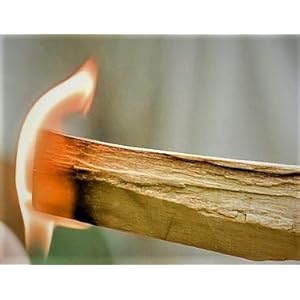 1 Pound Palo Santo Smudging Sticks High Resin Palo Santo Holy Wood Premium Certified Authentic Wild Harvested Incense Stick for Purifying Cleansing Healing Meditation and Stress Relief