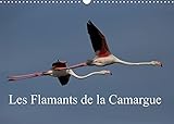 CALVENDO