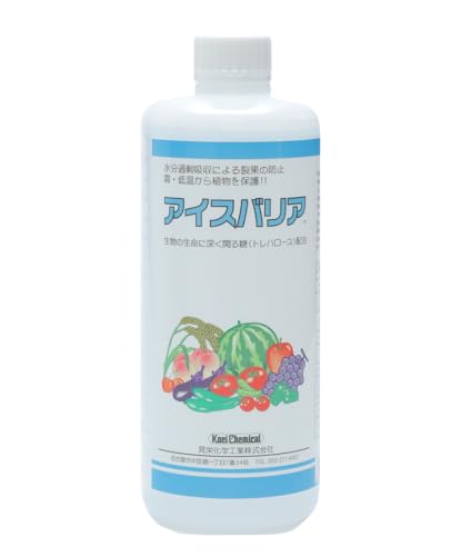 ΂΍ 엿 ACXoA 1.1kg ʎ  ^X   v[ g}g  Lxc イ y Nxێgn[X ێp