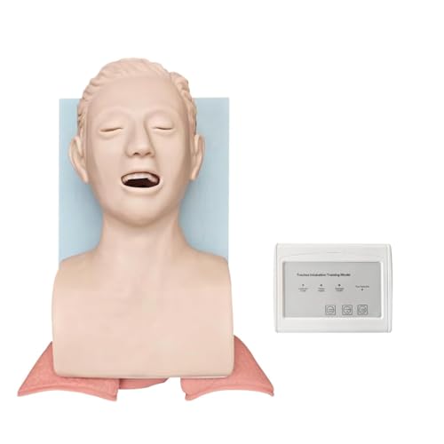 UIGJIOG Modèle Humain d'intubation moitié Corps sur Une Plaque Mannequin Simulation d'intubation trachéale PVC Aide à l'enseignement avec Tube endotrachéal modèle Humain d'intubation orale/nasale