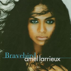 AMEL LARRIEUX - Bravebird - Disque CD