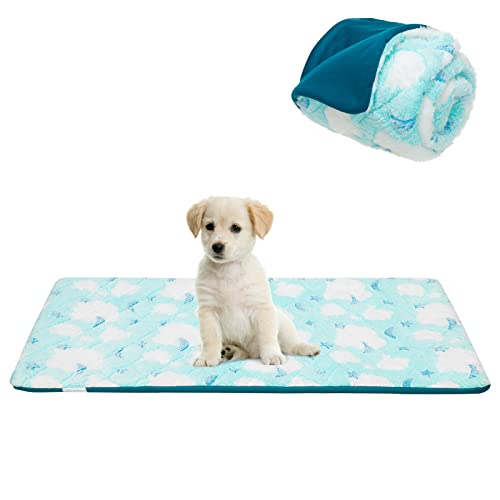 Expawlorer Dog Crate Pad For Small Dogs - Soft Waterproof Dog Bed Mats For Sleeping, Washable Breathable Dog Crate Bed Kennel Pad For Small Animals Cat Kitty Kitten Pink #TOP8