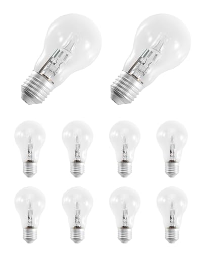 Wusquvy A55 E27 Halogen Bulb 10 Pack 220V 2700K 96 * 55mm 100W Clear Glass Lamps Fit for Use in Home or Shops and Offices