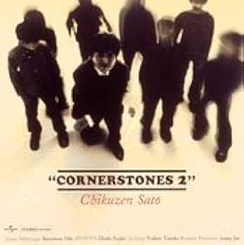RESPECT THE STONES 2 CD リスペクト・ザ・ストーンズ V.A.