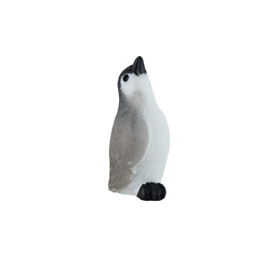 Happyyami Statue Tortue Décorative Résine Figurine De Table Décoration Happyyami Statue Tortue Décorative Résine Figurine De Table Décoration