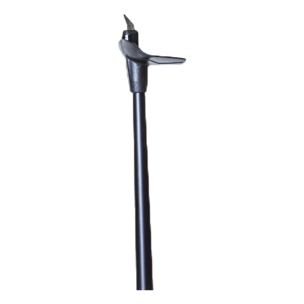 FISCHER RC3 Carbon Langlaufstock schwarz 160