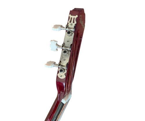 Violão Acustico De Nylon Waldman PP1 Natural Kit com capa