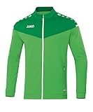 Zweifarbige Reißverschlussanhänger