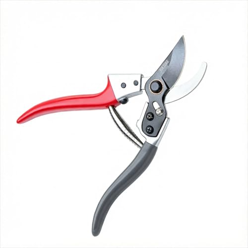 �y�����ɂ̙���΂��݁z�y�ʁE����₷���ŉ��|�������Ɗy�����h�C�c�Z�p×���{��SK-5�|�Ő؂ꖡ5�{�E�ϋv��6�{ �K�тɂ����A���~�����O���b�v ���ɂ����݌v�Œ����ԍ�Ƃ����K �}�؂�E�Ԑ؂�E�~�́E�K�[�f�j���O�� �M�t�g�ɂ��œK�y2025�N���|�����܎��