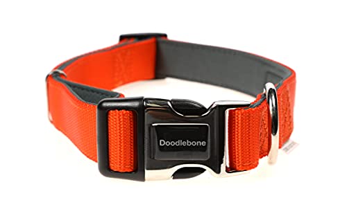 Doodlebone, Padded Dog Collar, Adjustable Breathable Comfort Collar with Reflective Stitching - Image 2