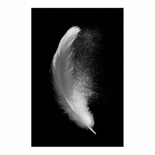 Tableau toile grand format pour habiller un mur vide de salon peinture plumes XENIOU