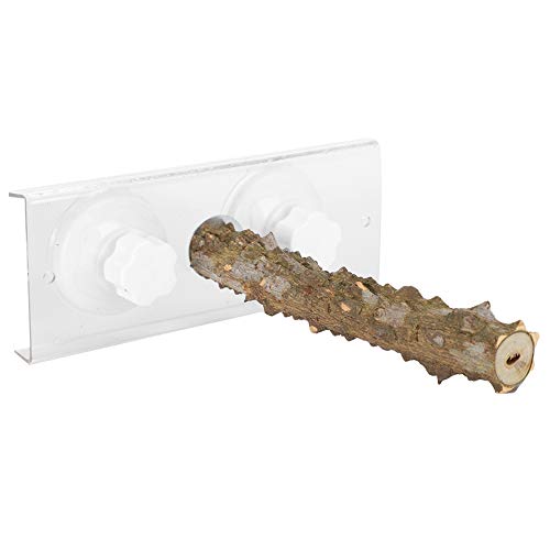 Perchas para ducha de pájaros de 20 cm, perchas para ventana y baño, loro, fresno espinoso, soporte de madera, juguete para loro, periquito, periquito, cacatúa, conure, agapornis, pinzón, cana