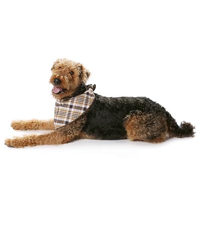 Burda Schnittmuster #7752 Creative Hundemantel 5 Varianten für kleine und große Hunde