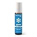 Plant Therapy Germ Destroyer Synergy Essential Oil | Guard From Illness, Support Blend for Kids | 100% Pure, KidSafe, Pre-Diluted Roll-ON, Natural Aromatherapy, Therapeutic Grade | 10 milliliter